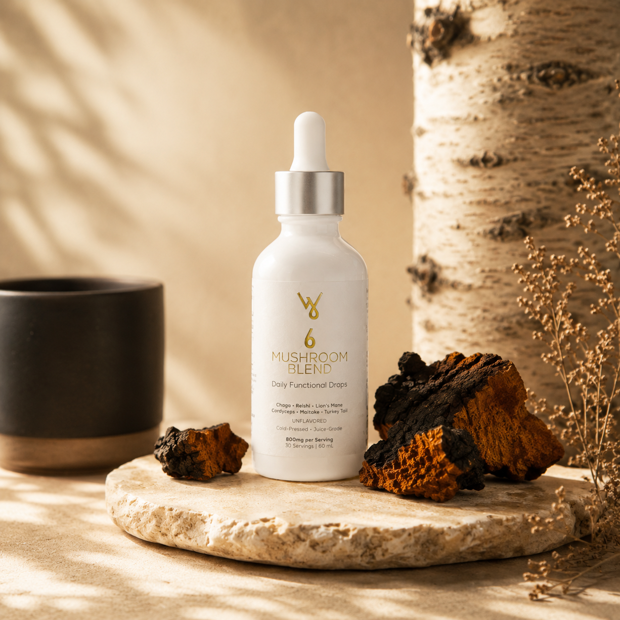6 Mushroom Blend bottle with Chaga pieces and birch bark